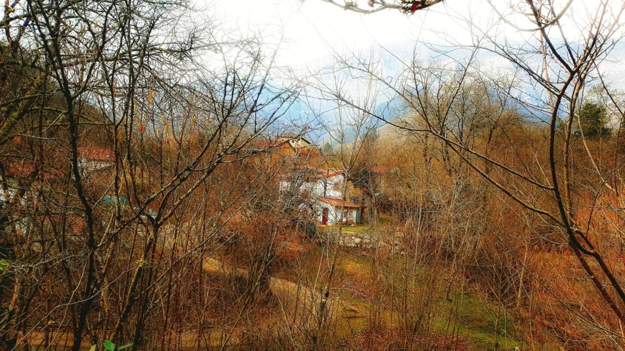 Hotel Rural La Tahona De Besnes 아레나스데카브랄레스 외부 사진